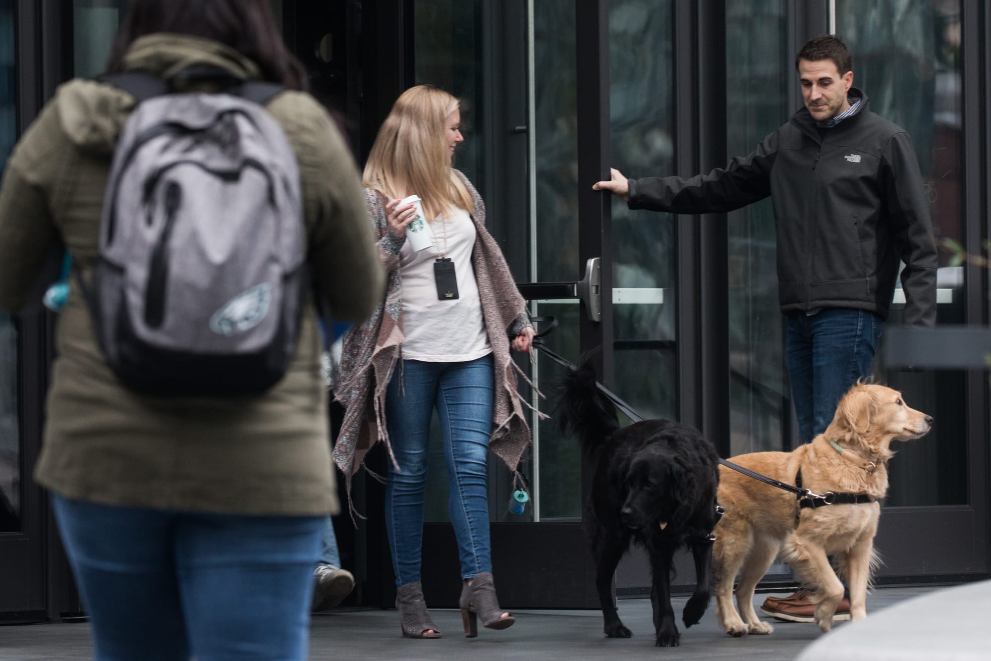 dogs in Seattle