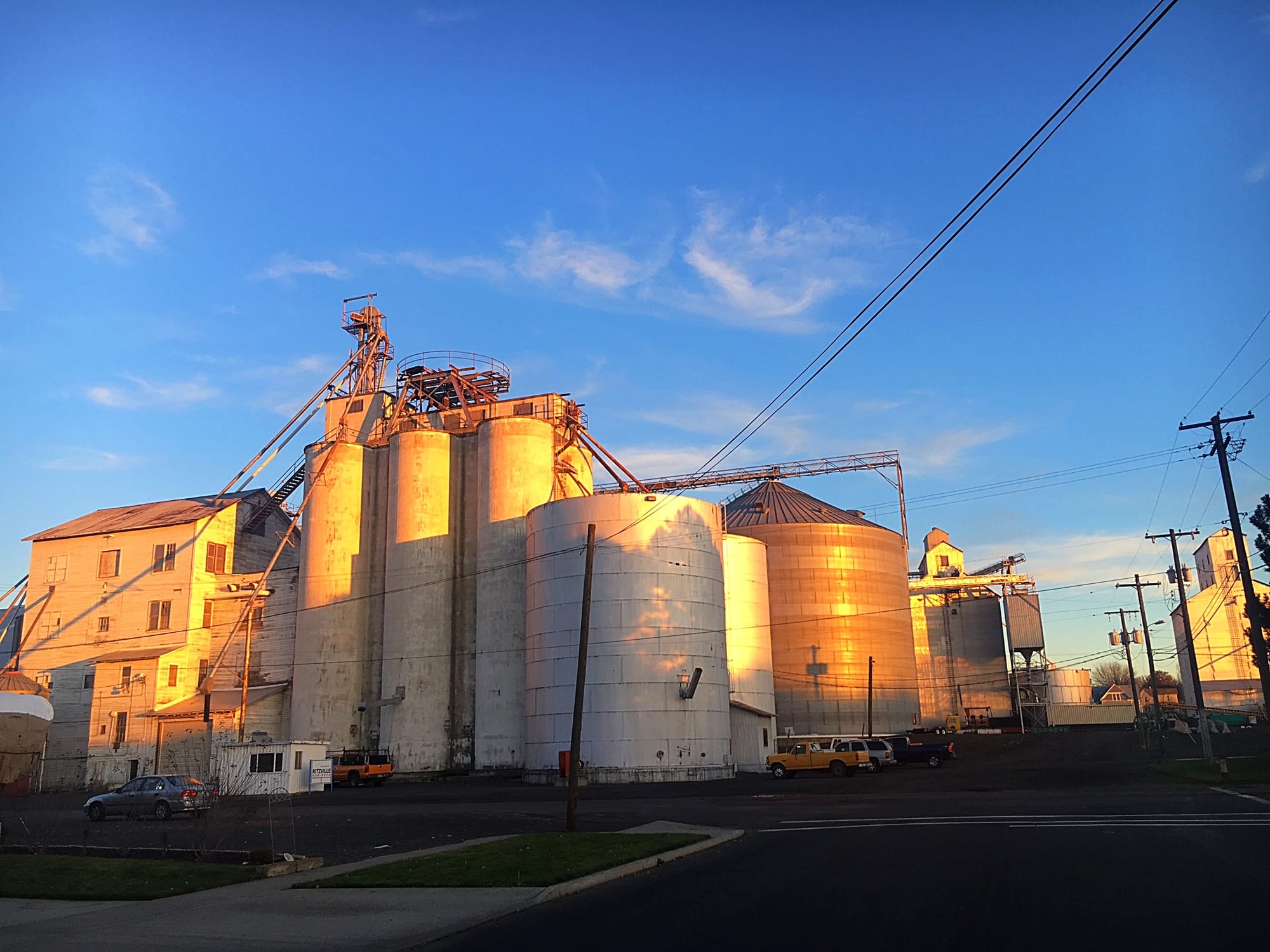 Grain