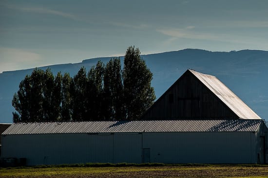 Skagit