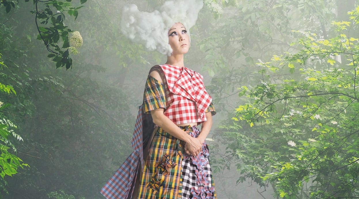 Degenerate Art Ensemble for Skeleton Flower