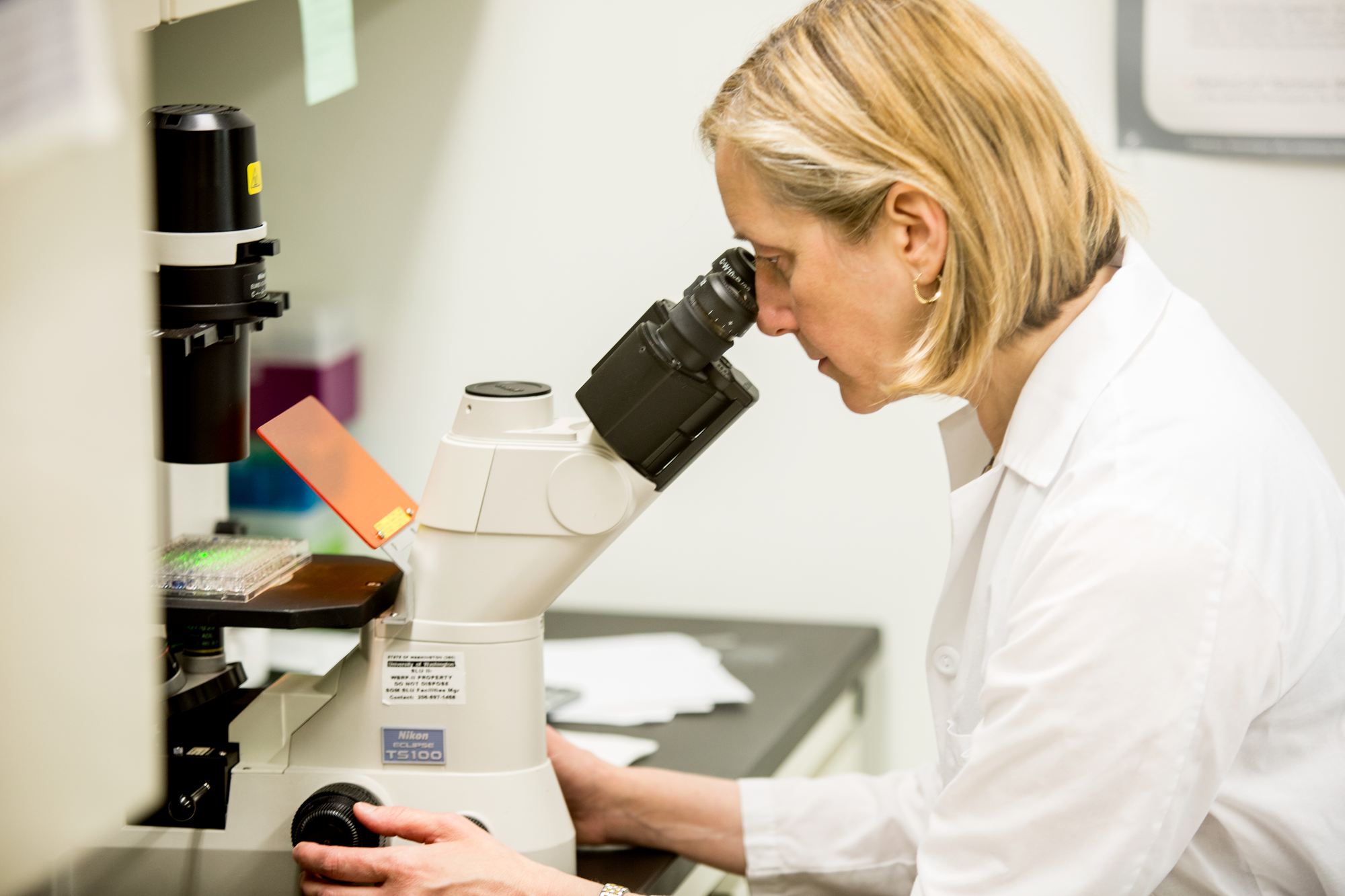 Dr. Becker tests patient samples against high volumes of drug compounds at different concentrations to find the best match.