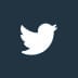 twitter follow