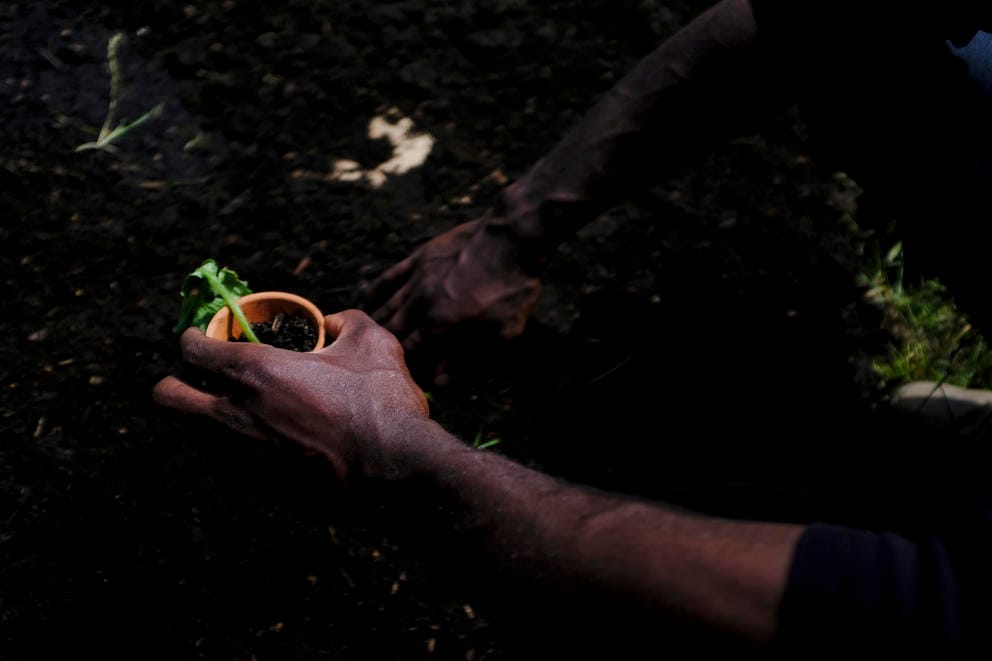 Marcus Henderson works in the community garden on Thurs. June 11, 2020 at the Capitol Hill Autonomous Zone (CHAZ) in Seattle, Wash. The area surrounding Cal Anderson Park in the Capitol Hill neighborhood has been claimed by protesters and now includes art installations, a co-op, medical tent, and library. (Sarah Hoffman/Crosscut)