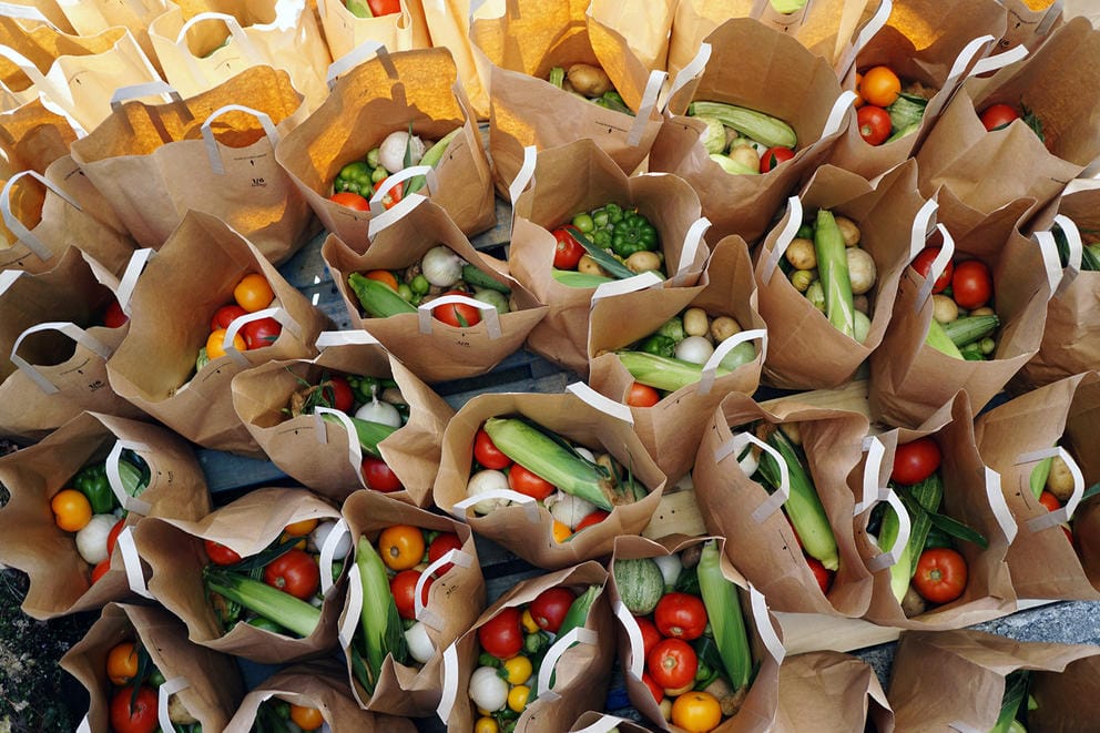 Paper bags filled with vegetables