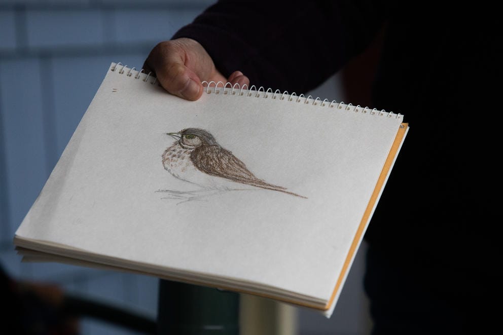 hand holding sketchbook with a drawing of a sparrow