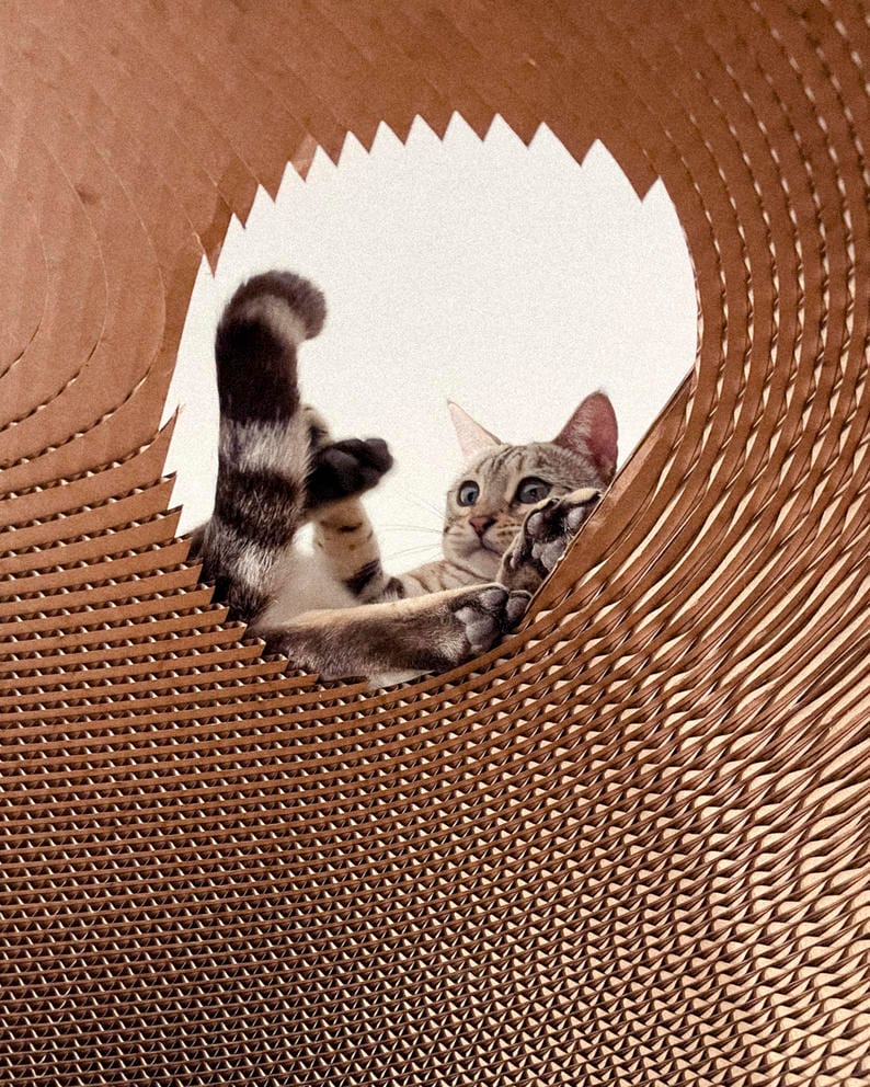 A gray cat's head, feet and tail peek out from a jagged circular hole in a brown sculpture