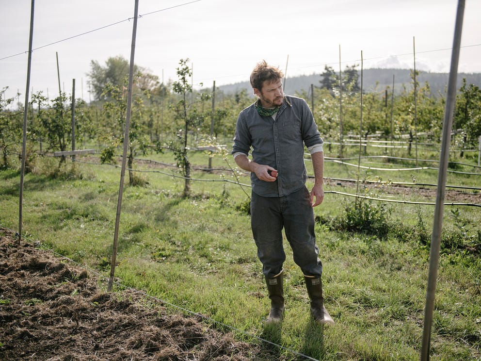 cider maker in orchard