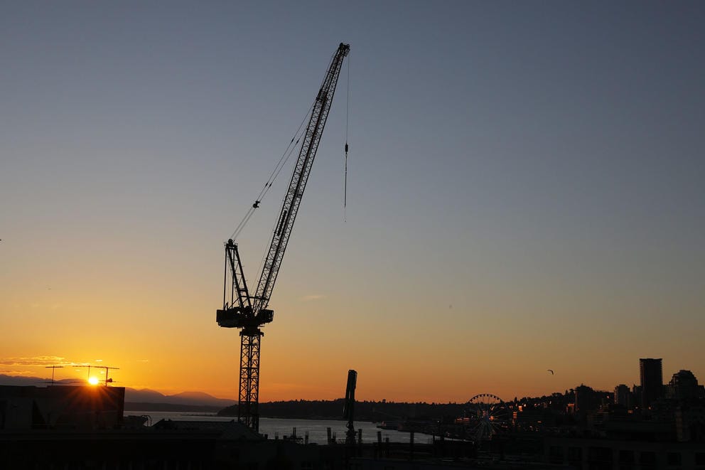 Silhouette of a crane