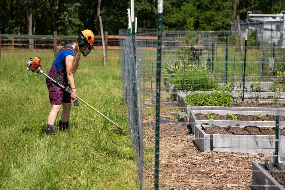 a person wearing purple overalls uses a weed whacker while wearing an orange helmet. They are in a field next to a fence.