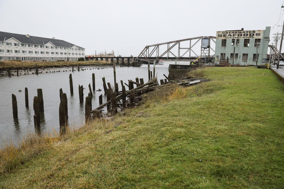 A grassy river bank, with a warehouse structure and bridge in the background