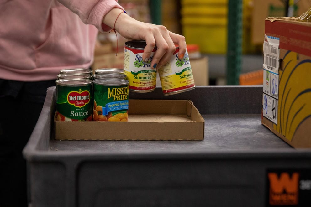 Hands organizing cans of skimmed milk, apricots, and tomato sauce