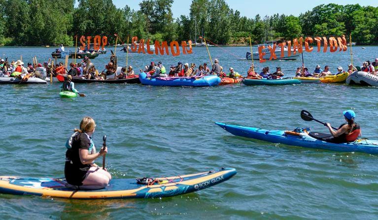 People on paddle boards and inflated boats protested on the water. Some hold up a sign on a net reading