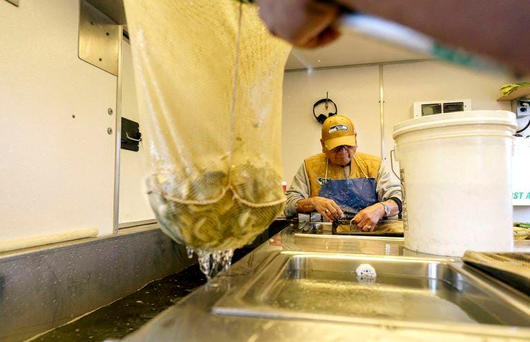 A hand holding up a net of juvenile salmon. A man works in the background.