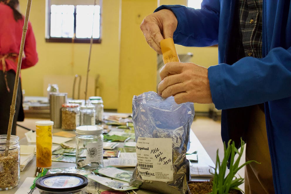 Michael Levy drops chard seeds from a larger bag into a small envelope