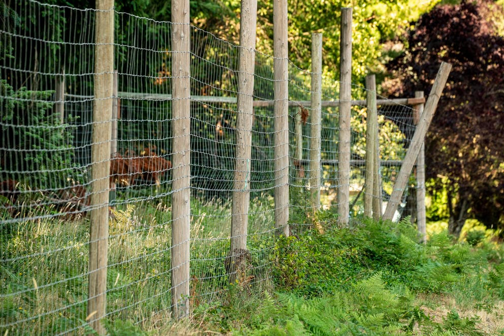 A high wire fence in a field.