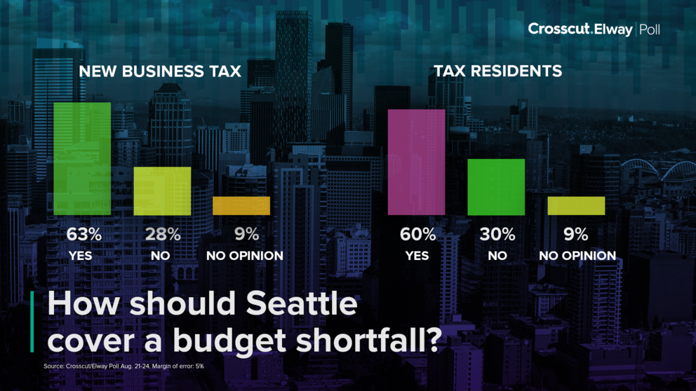 a chart showing support for taxing corporations and wealthy individuals