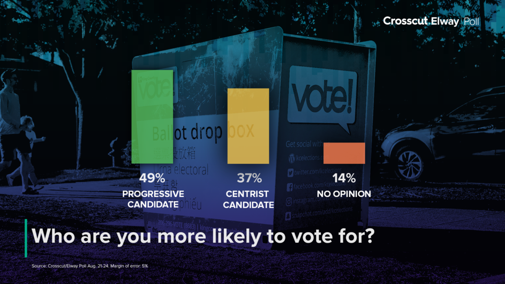 a chart showing 49% of voters say they would support a progressive candidate