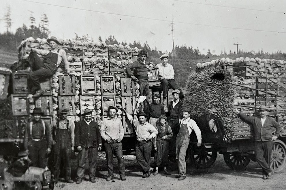 A group of Farmers with truck loads of vegetables.