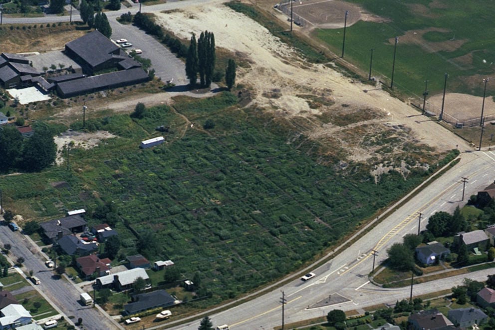 Birds eye view of the original P-Patch.