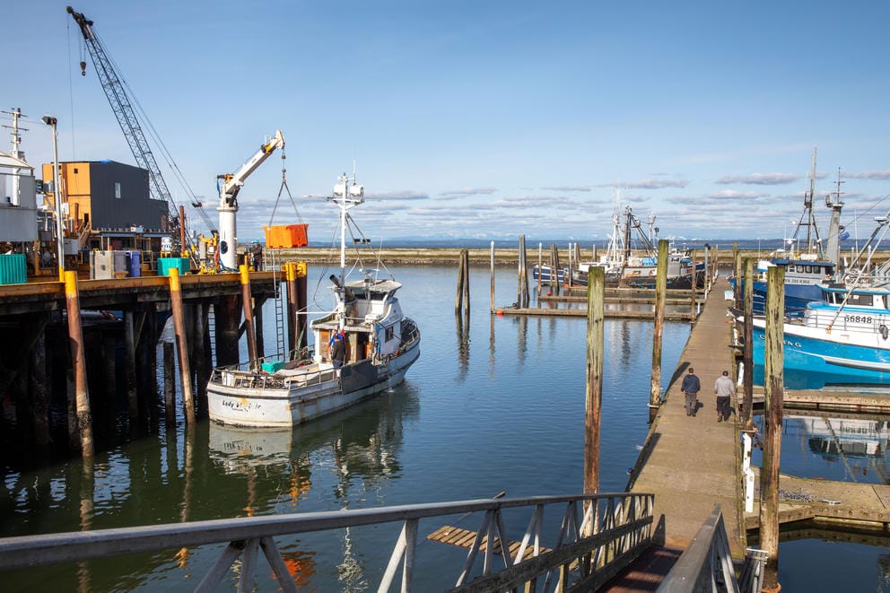 Docks line the Westport Marina on a sunny day