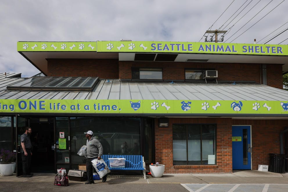 Bright green trim lines the outside of the Seattle Animal Shelter buildin