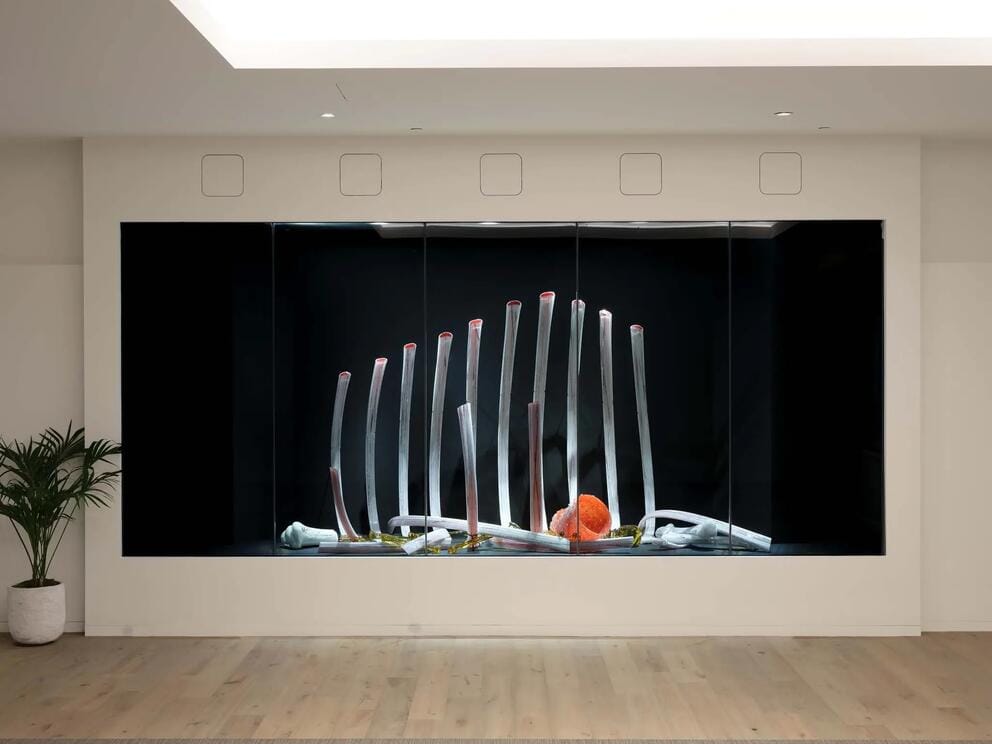 photo of an art installation that looks like the white bones of the ribcage of a giant creative