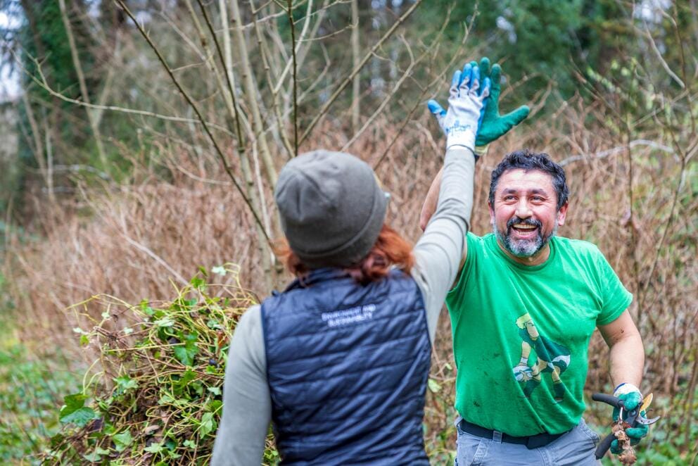 Volunteers high five at the SEA Airport community planting event