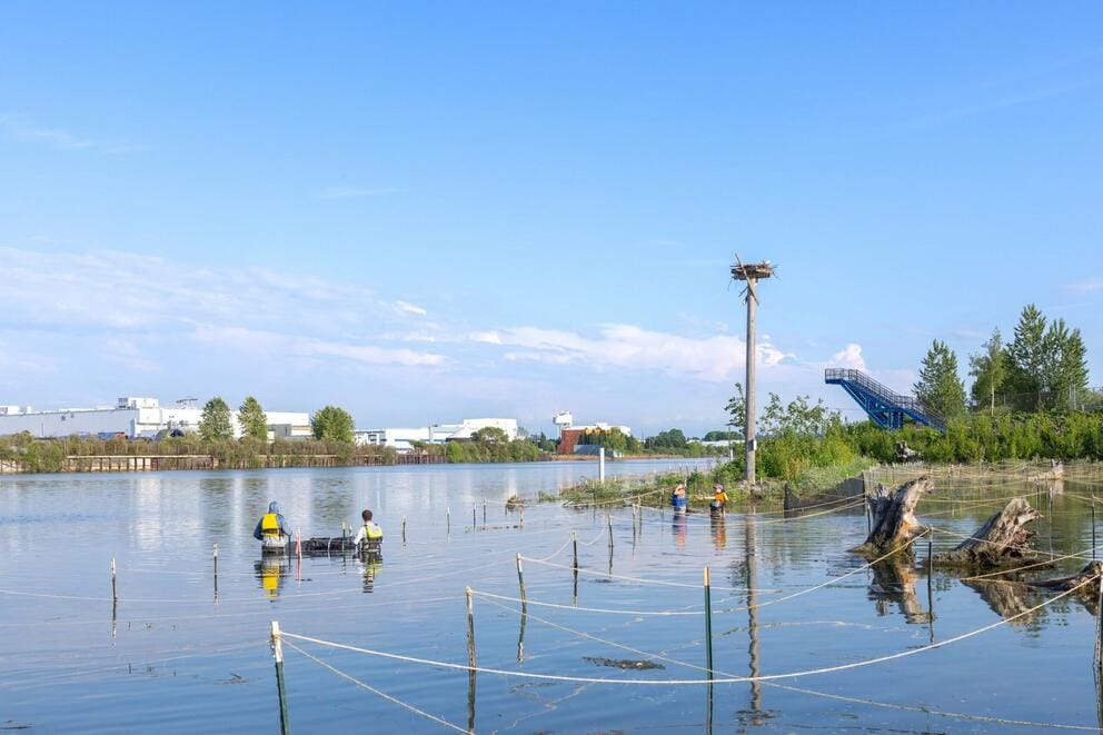 People wade through the Duwamish River People's Park 