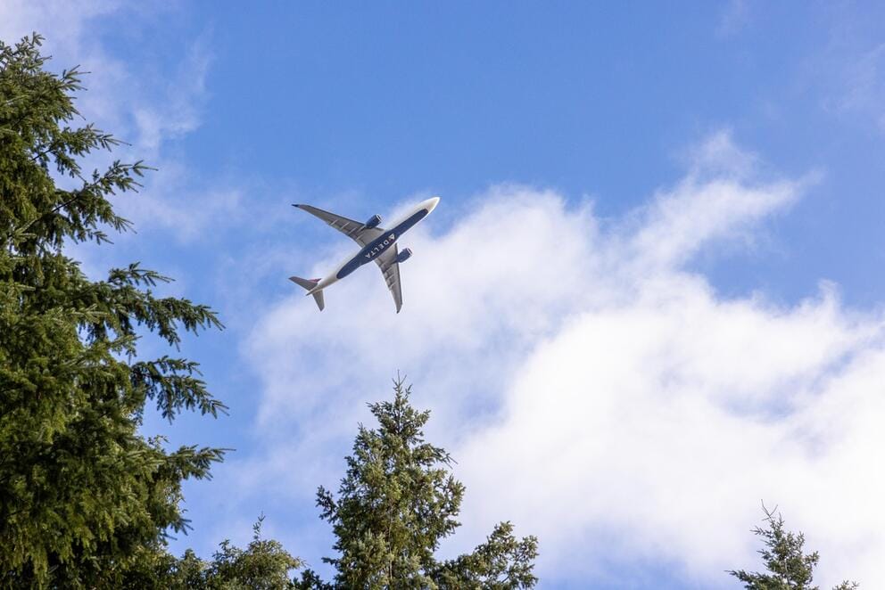 A plane flies over evergreen trees.