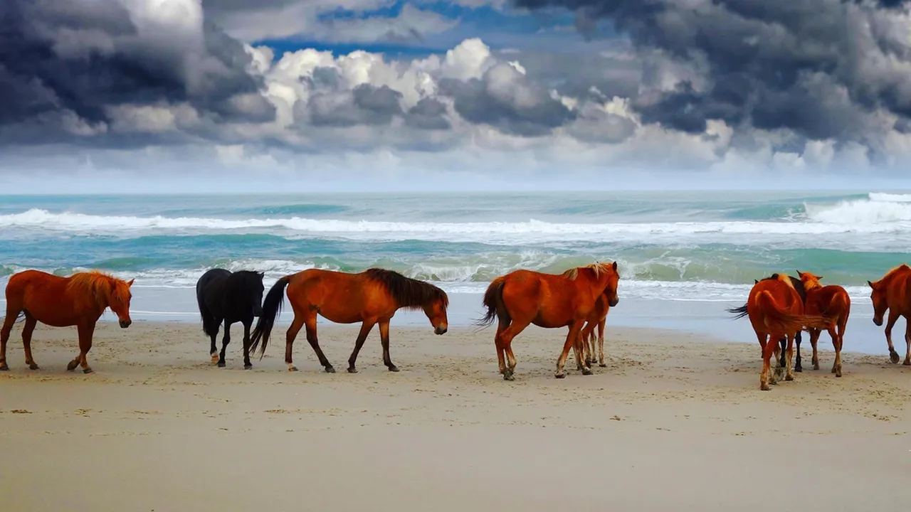 Wild Horses: America's Most Beloved Invasive Species?
