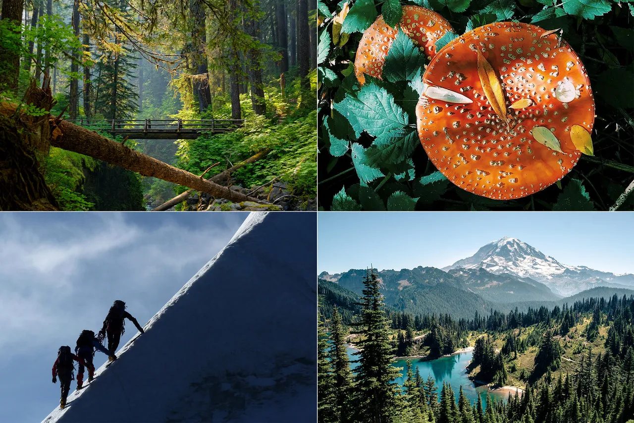 Sasquatches, rescues and mushrooms: Season 2 of Escapes is here