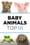 Baby Animals: The Top 10