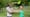 GARDENFIT