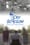 Sky Blossom: Diaries of the Next Greatest Generation