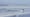 Costa Rica's Surfing Paradise | Changing Seas | Preview