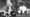 A Deadly Calling