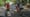 Fort Myers - Islands, Beaches and Neighborhoods