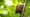 Preview of Big Little Journeys: Survival