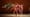 Mark Morris Dance Group: L'Allegro