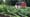 From Seed to Fork: Growing an Abundant and Beautiful Cold-Climate Garden