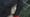 Anita Manning and James Lewis, Day 4