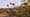Season 2, Episode 1: What is a Desert?