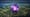 Is the LHC Creating Dark Matter?