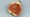 Are There Dead Wasps In Figs?