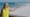 Clearwater, Florida - City by the Sea