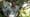Far From Civilization