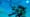 Underwater Robots