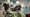Underwater Robots, John Day River Geology Tour, Sage Grouse Photo Essay