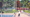 Trolley Park: Midway Memories
