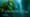 Kelp: Hidden Treasure of the Salish Sea